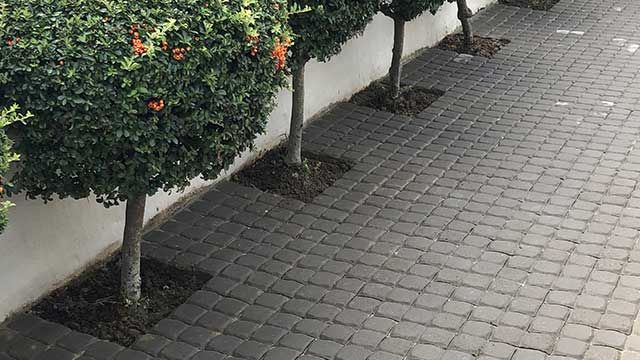 Article1  Of  Pros & Cons Of Cement Pavers