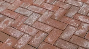Efflorescence On Cement Pavers